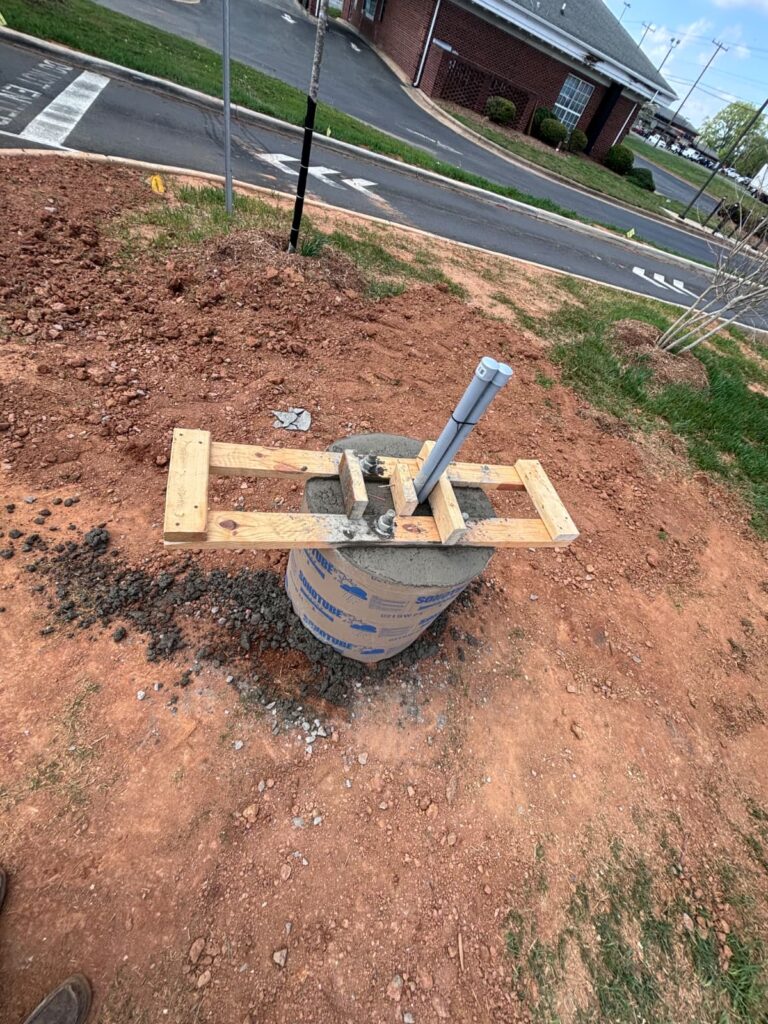 WhatsApp Image 2026-02-20 at 3.50